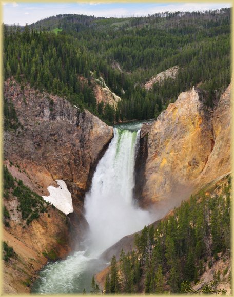 Ghost of the Yellowstone